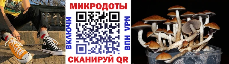 Галлюциногенные грибы мицелий как найти наркотики Фрязино